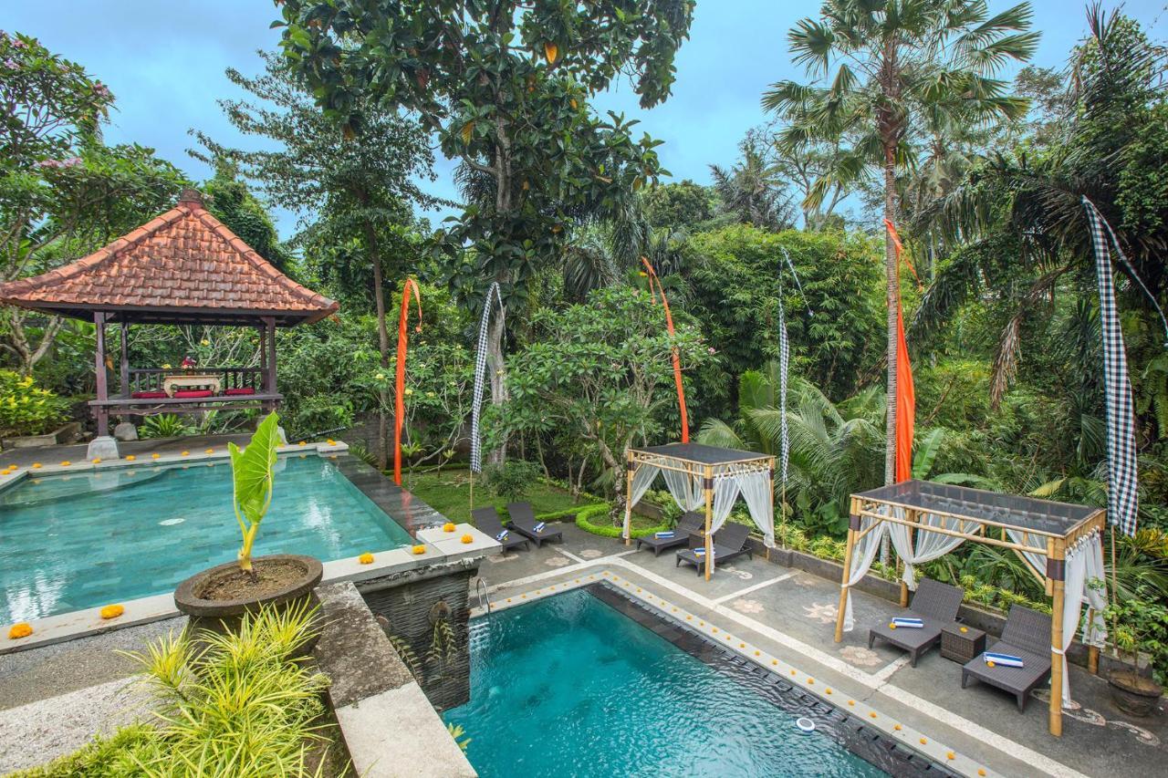Holiday park Alas Petulu And 4*