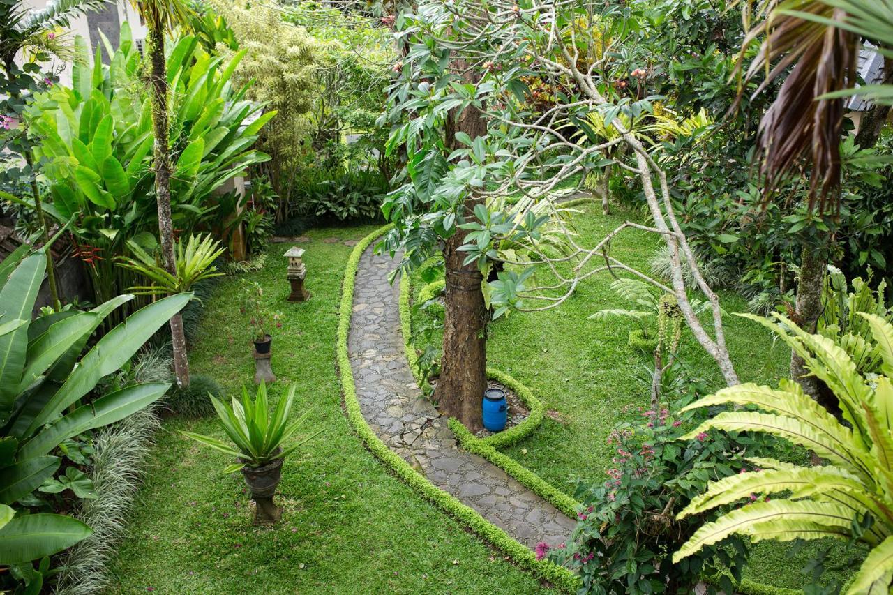 Holiday park Alas Petulu And