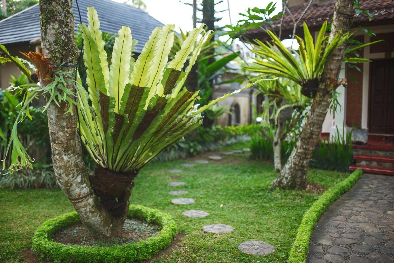 Alas Petulu And 4* Ubud (Bali)