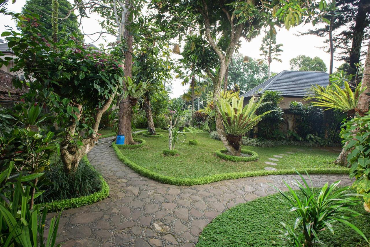Holiday park Alas Petulu And 4*